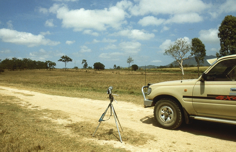 652_Birdwatching, binnenland bij Port Douglas.jpg